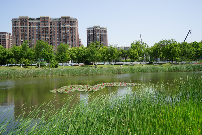 鳩江區(qū)黑臭水體治理項目