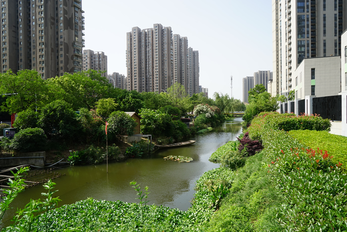 弋江區(qū)流域水環(huán)境綜合治理項目