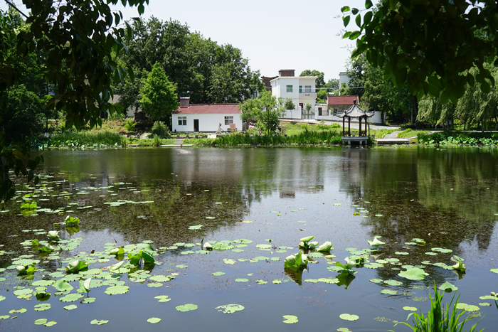 陶辛鎮(zhèn)沙墩村地表水生態(tài)修復項目